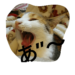 [LINEスタンプ] わらび