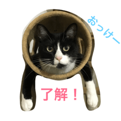 [LINEスタンプ] オモシロはちくん