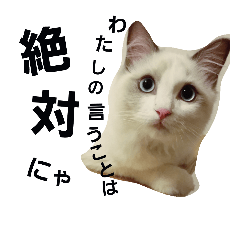 [LINEスタンプ] ツンデレ猫ベル様①