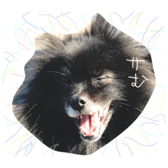 [LINEスタンプ] 使えるサむスタンプー！