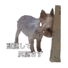 [LINEスタンプ] 岡島さんちのモコ
