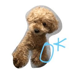 [LINEスタンプ] さしだ いっきゅう