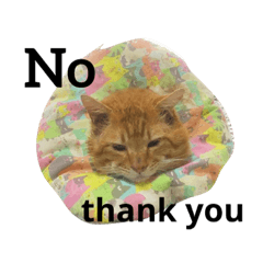 [LINEスタンプ] pichan.