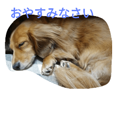 [LINEスタンプ] コロアポティ