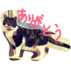 [LINEスタンプ] nanako6