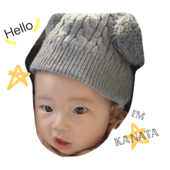 [LINEスタンプ] かなぼうちんスタンプ
