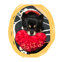 [LINEスタンプ] たこす犬