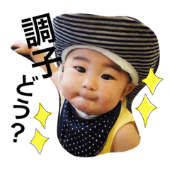 [LINEスタンプ] やーやんスタンプ