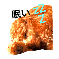 [LINEスタンプ] ヴィヴィの毎日