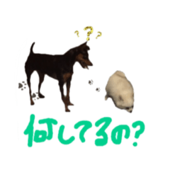 [LINEスタンプ] ミニピンこてつとミックスサスケの日常