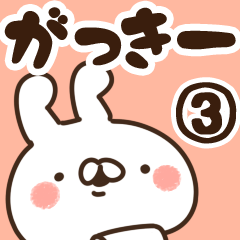 [LINEスタンプ] 【がっきー】専用3