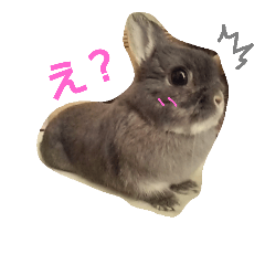 [LINEスタンプ] うさぎのむっちゃん