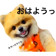 [LINEスタンプ] うちのティンクさん2ときどきラブちゃん