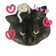 [LINEスタンプ] ぶちゃねこグレコ