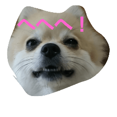 [LINEスタンプ] anzutosumomo4