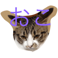 [LINEスタンプ] べす929