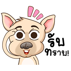 [LINEスタンプ] Nong Thang Duan