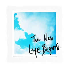 [LINEスタンプ] THE LIFE OF A CALFLOWER (polaroids)