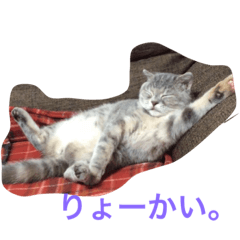 [LINEスタンプ] スコのゆめ＆りく