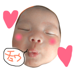 [LINEスタンプ] せんちゃん