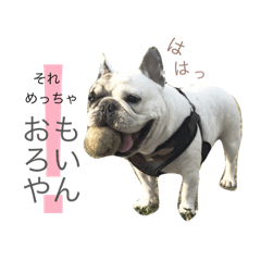 [LINEスタンプ] フレンチブルドッグのキーパー