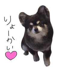 [LINEスタンプ] サランちゃん