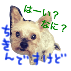 [LINEスタンプ] 我が家のちきん