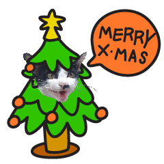 [LINEスタンプ] happy happy cat with christmas