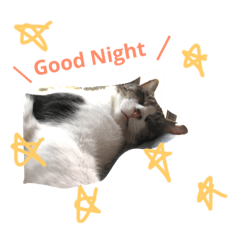 [LINEスタンプ] 塩きなこもち