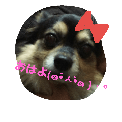 [LINEスタンプ] 愛犬ロック 7