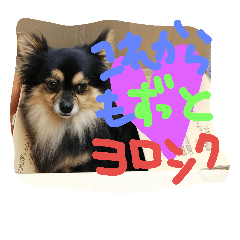 [LINEスタンプ] 愛犬ロック 4