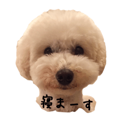 [LINEスタンプ] ぐれいとしろ