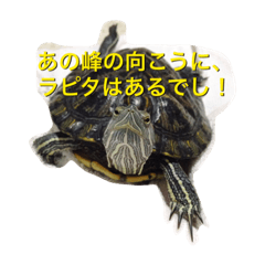 [LINEスタンプ] かめおくん