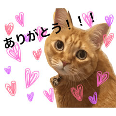 [LINEスタンプ] そらちゃんスタンプ1
