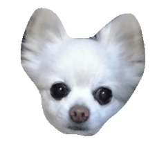 [LINEスタンプ] mofufu