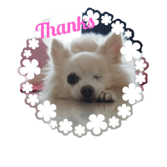 [LINEスタンプ] えびぃちりぃ