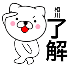[LINEスタンプ] 【相川】が使う主婦が作ったデカ文字ネコの画像（メイン）