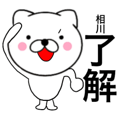 [LINEスタンプ] 【相川】が使う主婦が作ったデカ文字ネコ2