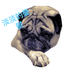 [LINEスタンプ] puggyemoji