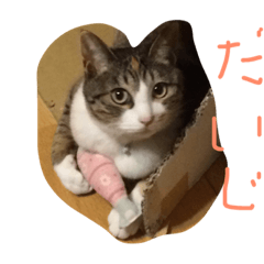 [LINEスタンプ] 動物大集合！