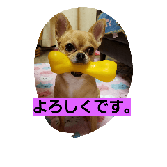 [LINEスタンプ] ポテトと、リリィ