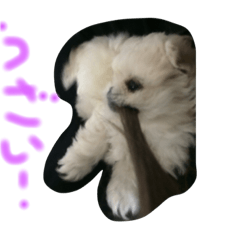 [LINEスタンプ] mini.mini.mini
