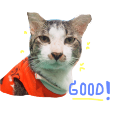 [LINEスタンプ] P' meaw and N' nean