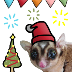 [LINEスタンプ] Sugar Glider Happy New Year
