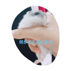 [LINEスタンプ] ハムタンラブ