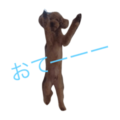 [LINEスタンプ] ボン太