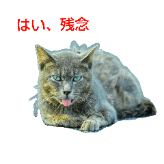 [LINEスタンプ] Street cats 4