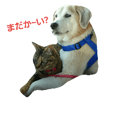 [LINEスタンプ] 動物ランド