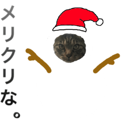 [LINEスタンプ] リュウくんのクリスマススタンプ