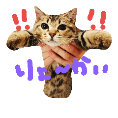 [LINEスタンプ] mugichannel2